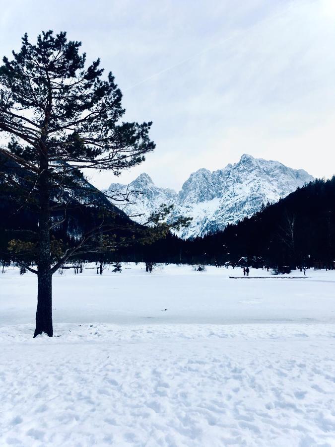 Ian'S Residence Kranjska Gora Zewnętrze zdjęcie